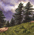 Spring Storm