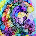 Run to the Roar - Redeeming the Rainbow